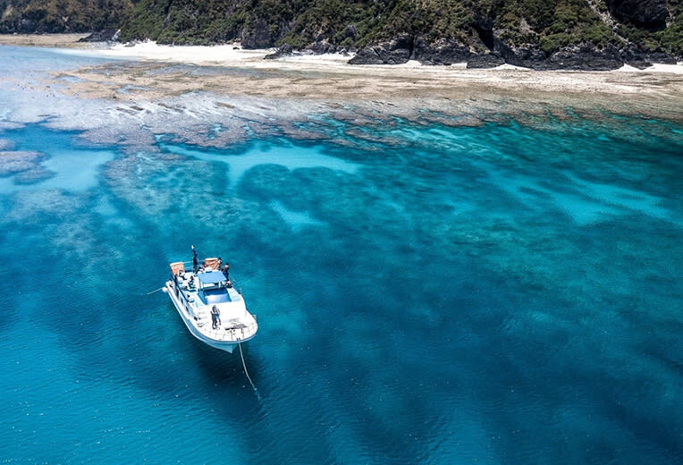 Okinawa Kerama Islands Snorkeling & Freediving with Naha Pickup - Two morning stops, then a third after lunch