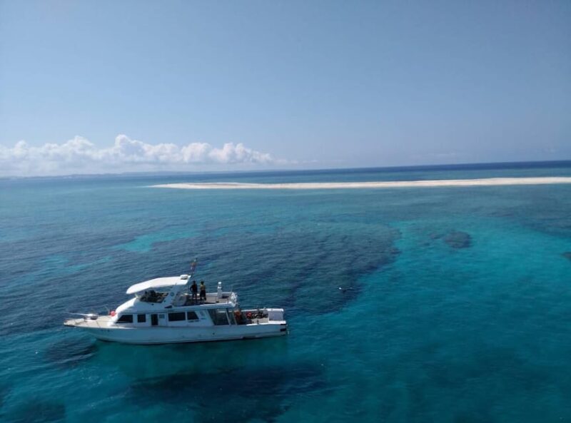 Okinawa : Kerama Whole Day Snorkeling Tour From Chatan/Naha - Key Points