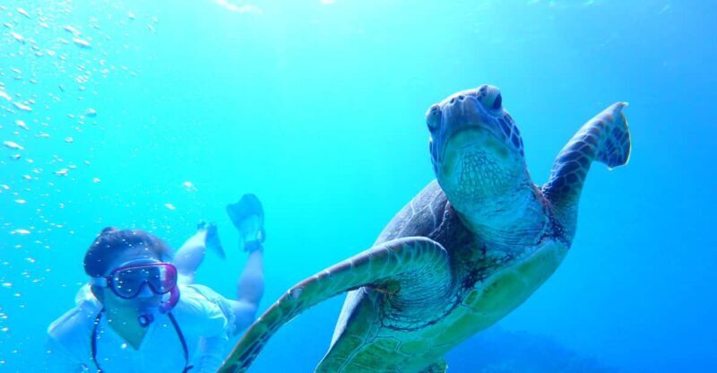 Okinawa : Kerama Whole Day Snorkeling Tour From Chatan/Naha - The Itinerary and How It Unfolds