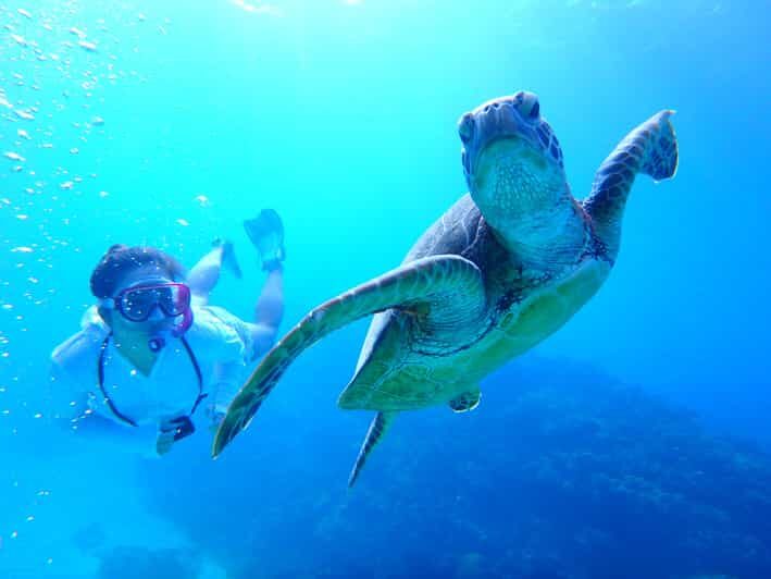Okinawa : Kerama Whole Day Snorkeling Tour From Chatan/Naha - The Marine Environment and Conservation