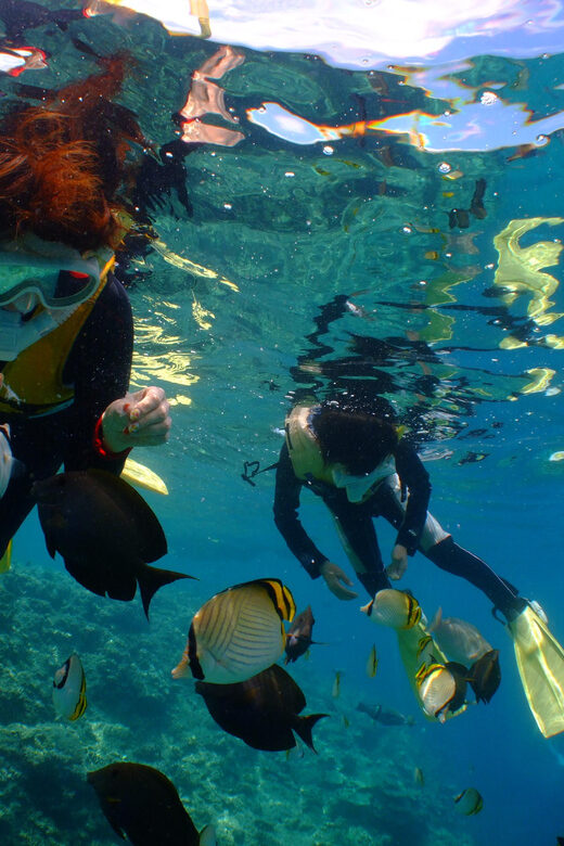 Okinawa : Kerama Whole Day Snorkeling Tour From Chatan/Naha - The Equipment and Comfort