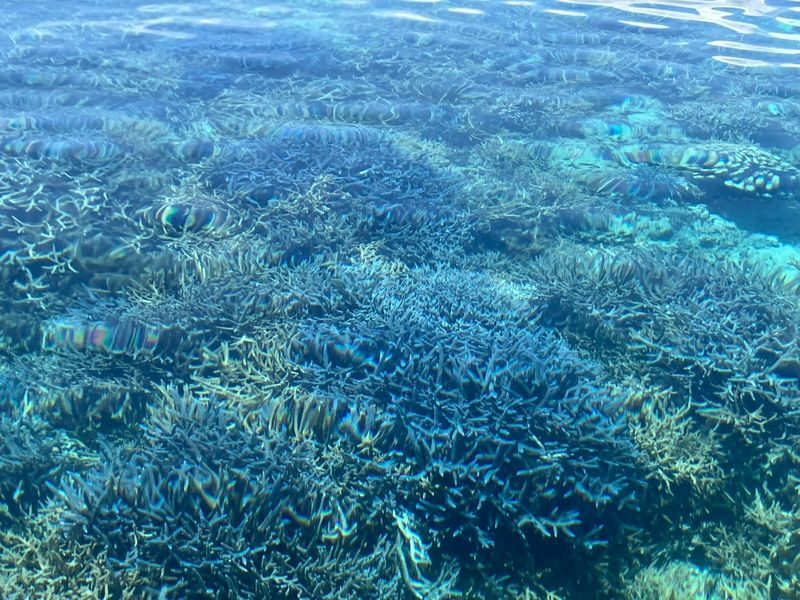 Okinawa Kume Island Full-Day Boat Tour with Hatenohama Beach - The boat trip and what is not spelled out