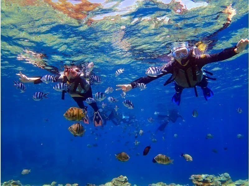 Okinawa Kume Island Full-Day Boat Tour with Hatenohama Beach - Who will appreciate this outing