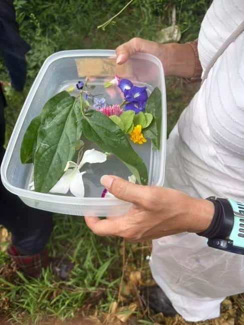 Okinawa: Making Traditional Seasoning 'Kusu' with Lunch - Key Points