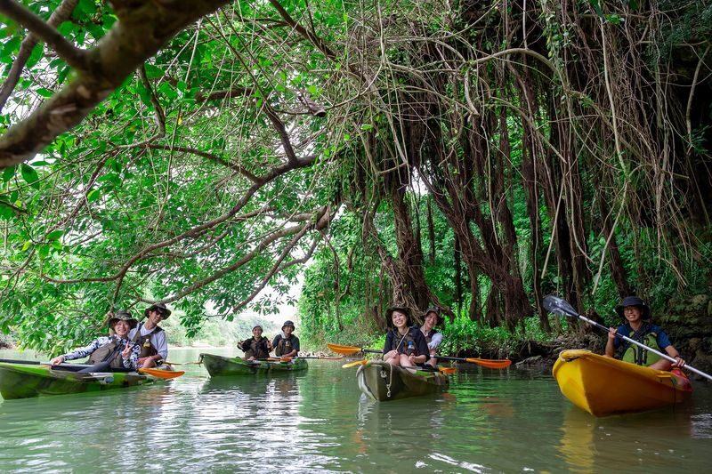 Okinawa Mangrove Kayak Tour with Photo Gift - What makes this Hija River kayak tour worth considering