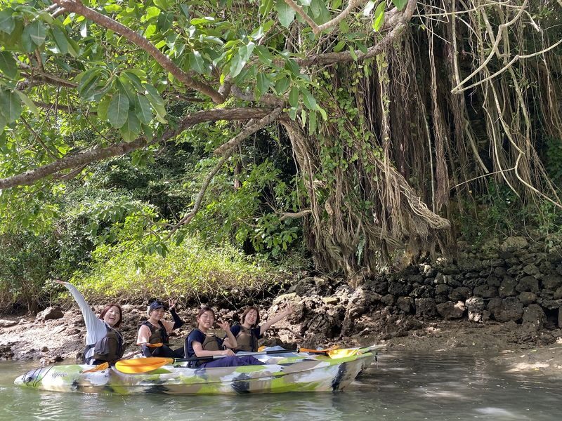 Okinawa Mangrove Kayak Tour with Photo Gift - An hour among mangroves and river creatures