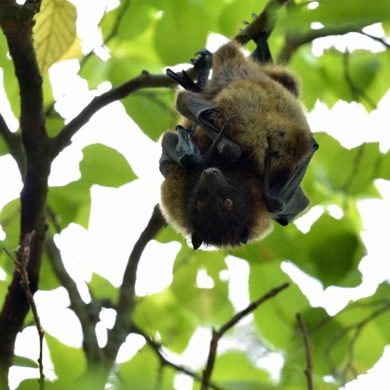 Okinawa Mangrove Kayak Tour with Photo Gift - Photos, changing, and the ride home