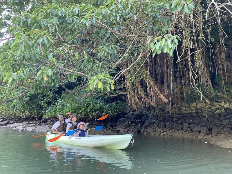 Okinawa Mangrove Kayak Tour with Photo Gift - What the price includes, and what it does not