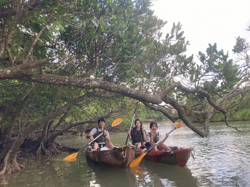 Okinawa Mangrove Kayak Tour with Photo Gift - Who will enjoy this outing most