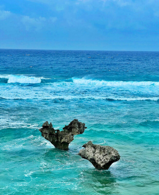 Okinawa Manza-mo, Kouri Island, and Churaumi Aquarium Day Trip | Includes Special Shrimp and Rice Lunch - Check the schedule before you commit