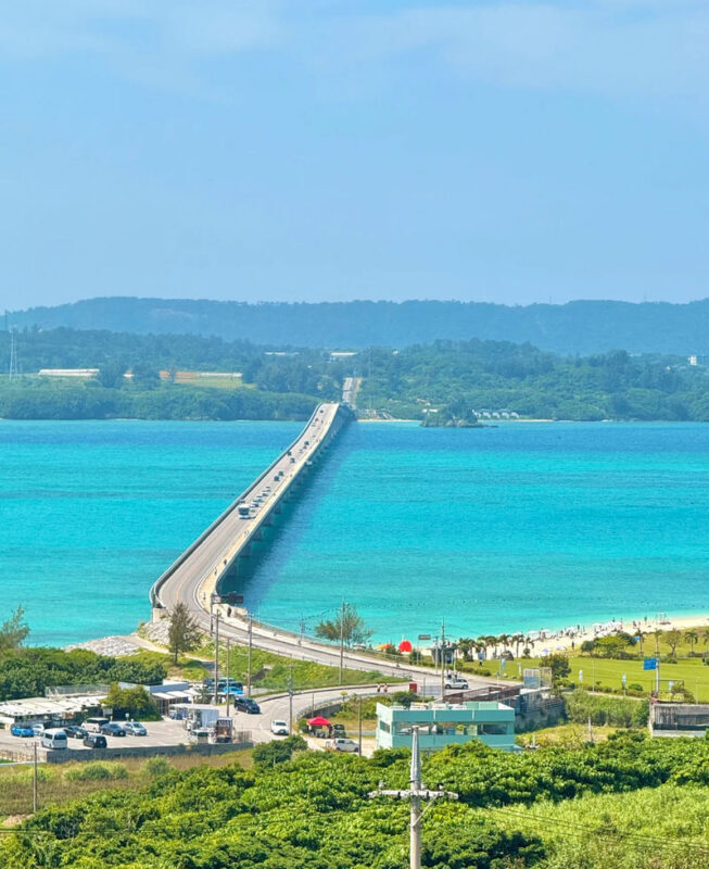 Okinawa Manza-mo, Kouri Island, and Churaumi Aquarium Day Trip | Includes Special Shrimp and Rice Lunch - Who this day trip suits