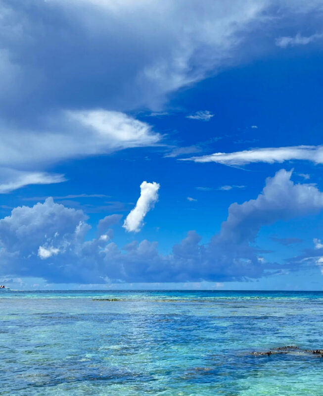 Okinawa Manza-mo, Kouri Island, and Churaumi Aquarium Day Trip | Includes Special Shrimp and Rice Lunch - Should you book it?