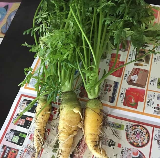 Okinawa: Market Tour and Cooking Class with a Chef - An In-Depth Review of the Okinawa Market Tour and Cooking Class