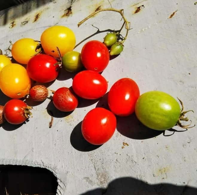 Okinawa: Market Tour and Cooking Class with a Chef - FAQ