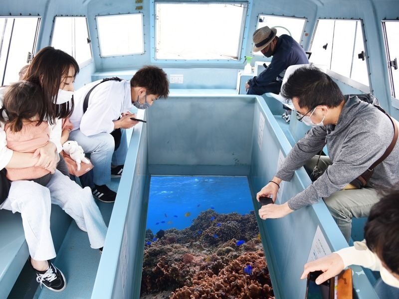 Okinawa: Miibaru Beach Glass Bottom Boat Tour Experience - A quick window onto Mibaru’s underwater world