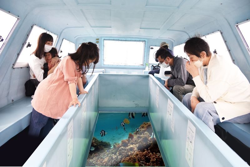 Okinawa: Miibaru Beach Glass Bottom Boat Tour Experience - What you might see below the boat