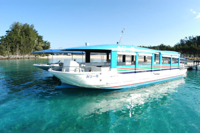 Okinawa: Miibaru Beach Glass Bottom Boat Tour Experience - Who will enjoy this outing most