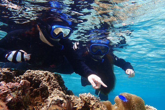 Okinawa Miyako 3set Beach SUP, Snorkeling,Pumpkin Cave,Canoeing - Final Words: Who Is This Tour Perfect For?