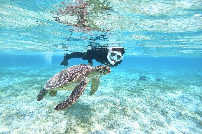 Okinawa Miyako Beach SUP or Canoe and sea turtle Snorkeling - Final Thoughts: Is It Worth It?