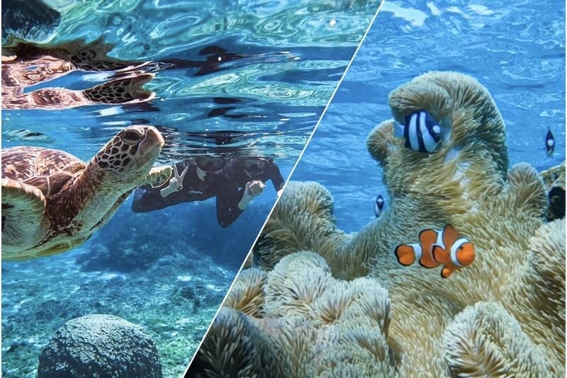 Okinawa: Miyako Island Sea Turtle and Coral Reef Snorkeling Experience - Choosing pickup or meeting at the beach