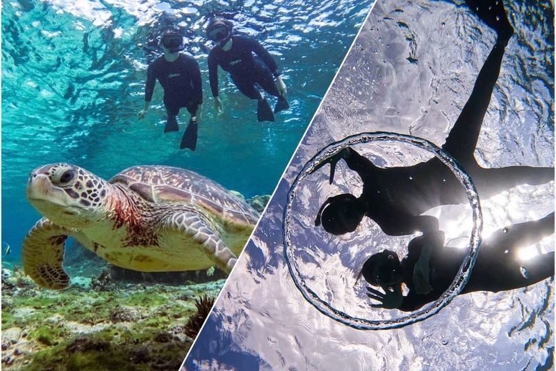 Okinawa: Miyako Island Sea Turtle and Coral Reef Snorkeling Experience - Price, timing and who gets good value