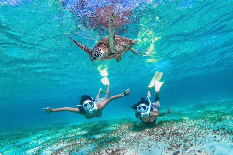 Okinawa: Miyako Island Sea Turtle and Coral Reef Snorkeling Experience - What to bring and how to prepare