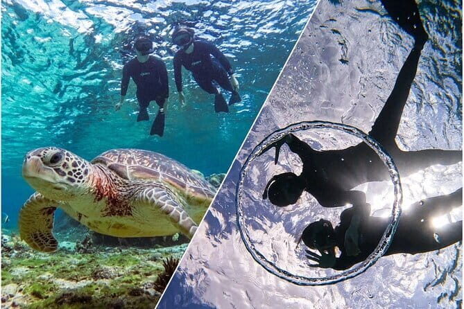 Okinawa Miyako Sea turtle Snorkeling Free Pick up and Drop off - Why This Tour Works Well for Travelers