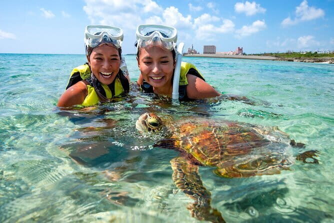 Okinawa Miyako Sea turtle Snorkeling Free Pick up and Drop off - Final Thoughts