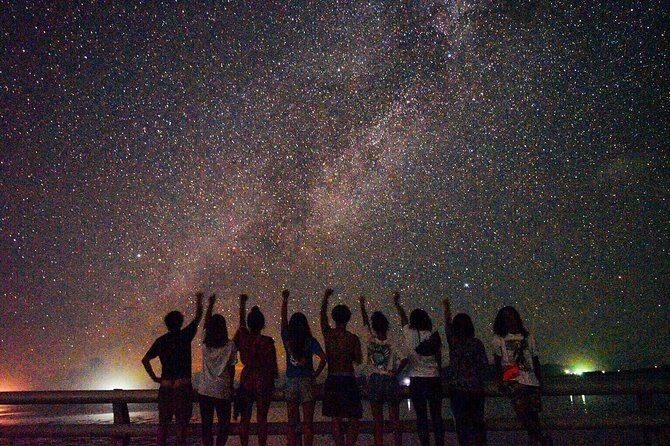 Okinawa Miyako Star gazing and subtropical jungle night tour - Discover Miyakojima’s Night Sky and Wildlife on a Unique Eco Tour