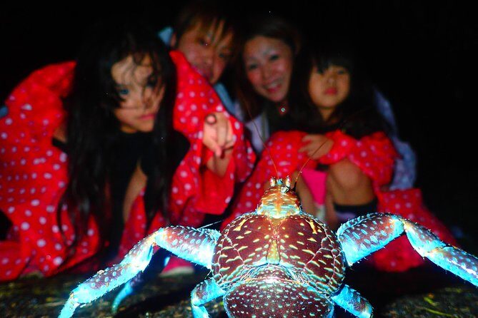 Okinawa Miyako Star gazing and subtropical jungle night tour - Key Points