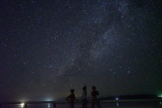 Okinawa Miyako Star gazing and subtropical jungle night tour - The Sum Up: Who Should Consider This Experience?