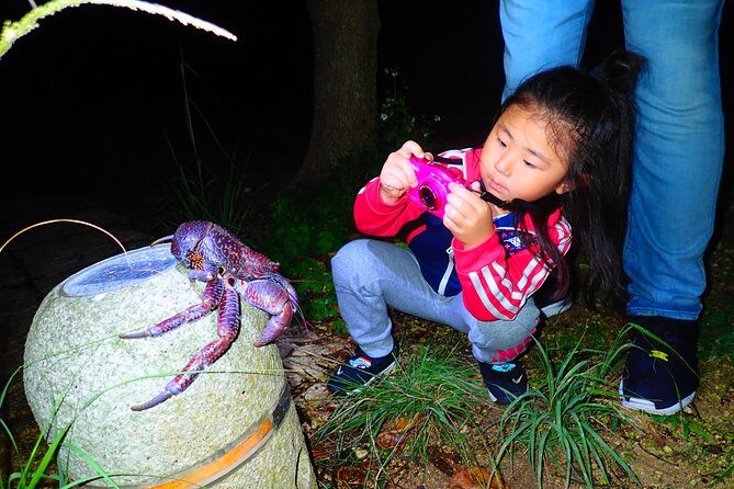 Okinawa Miyako Star gazing and subtropical jungle night tour - FAQ
