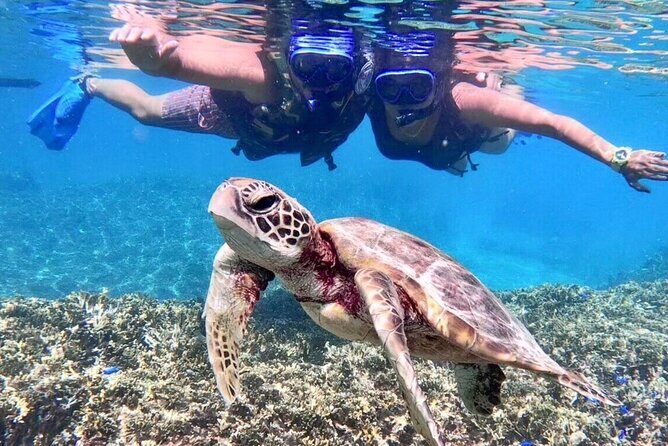 Okinawa Miyakojima 1 day Sea Turtle Snorkeling & Pumpkin Cave & Sea Kayak - In-Depth Review