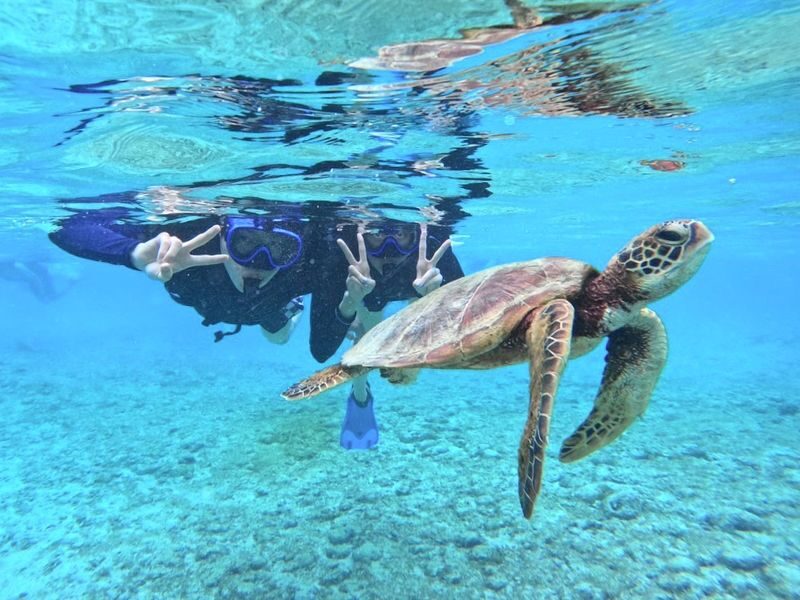 Okinawa Miyakojima Sea Turtle Snorkeling: Japanese and English Diving Guide, Free Photos - A short outing on Miyakojima’s clear water