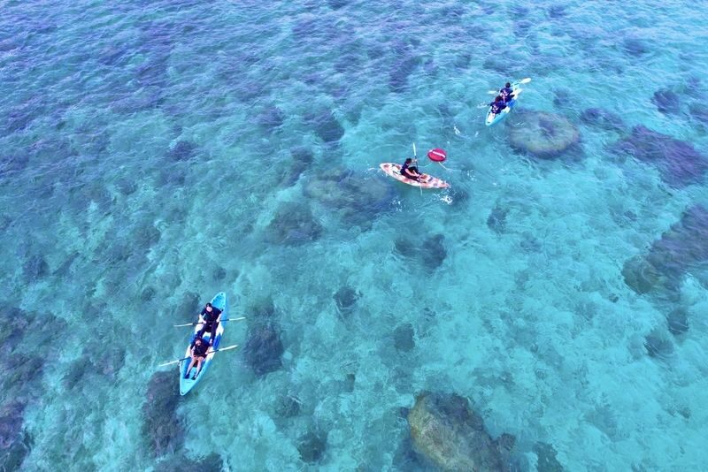 Okinawa Miyakojima Sea Turtle Snorkeling: Japanese and English Diving Guide, Free Photos - Sea turtles are a possibility, not a promise