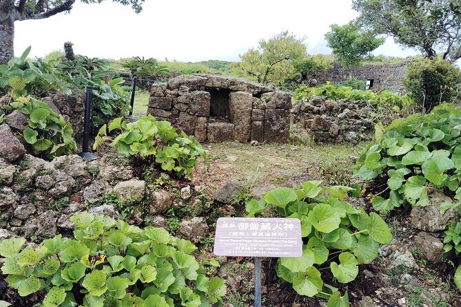 Okinawa: Nakagusuku Castle Views and Legends Tour 1.5h - The Sum Up