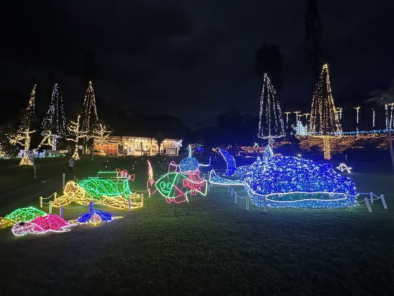 Okinawa: Naminoue Shrine & Cape Zanpa Lighthouse & American Village & Southeast Botanical Gardens Illumination Show Day Trip (Departure at Noon) - Who will get the best value