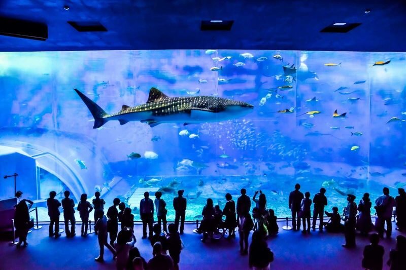 Okinawa North Tour: Okinawa Churaumi Aquarium, Kouri Island, Cape Manza, American Village Day Trip from Naha | Popular Spots in One Trip - Manzamo: a short stop for a famous cliff