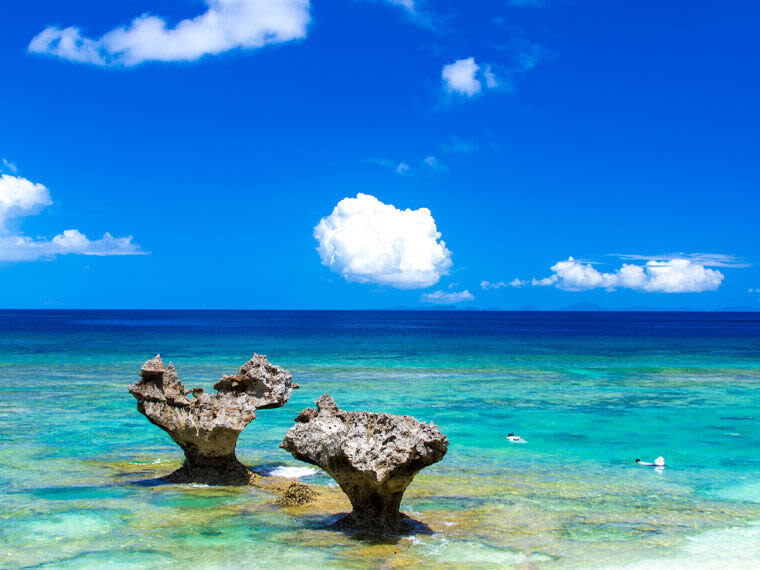 Okinawa North Tour: Okinawa Churaumi Aquarium, Kouri Island, Cape Manza, American Village Day Trip from Naha | Popular Spots in One Trip - Churaumi Aquarium: the main event and lunch stop