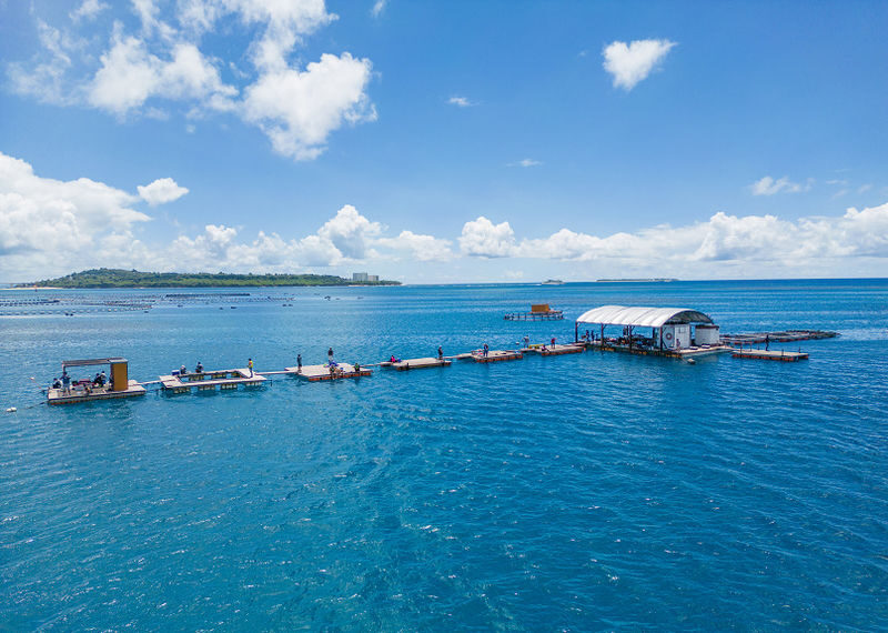 Okinawa | Northern Okinawa Raft Fishing - Spacious Deck, Seasickness-Free - Family Friendly (Near Okinawa Churaumi Aquarium and JUNGLIA) - Making a family outing work