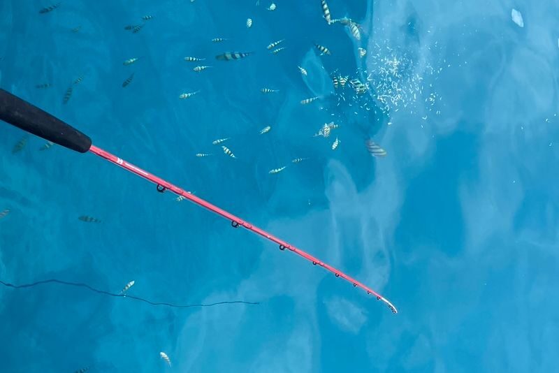 Okinawa | Northern Okinawa Raft Fishing - Spacious Deck, Seasickness-Free - Family Friendly (Near Okinawa Churaumi Aquarium and JUNGLIA) - Taking your catch back to Motobu