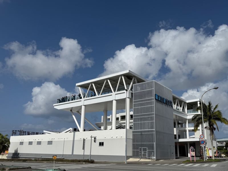 Okinawa One-Day Tour: Northern Secrets / Southern Charm / Central Shopping (Multiple Routes Available) - Southern Okinawa: caves, coast, and shopping