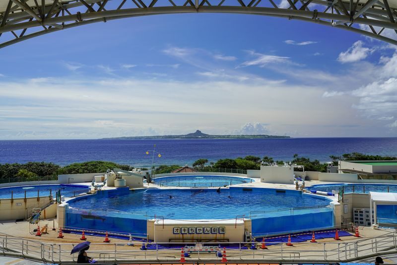 Okinawa One-Day Tour: Northern Secrets / Southern Charm / Central Shopping (Multiple Routes Available) - Central Okinawa: a shopping-focused change of pace