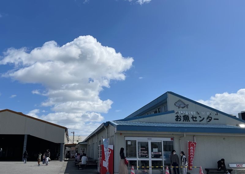 Okinawa One-Day Tour: Northern Secrets / Southern Charm / Central Shopping (Multiple Routes Available) - What the guides add, and where language matters