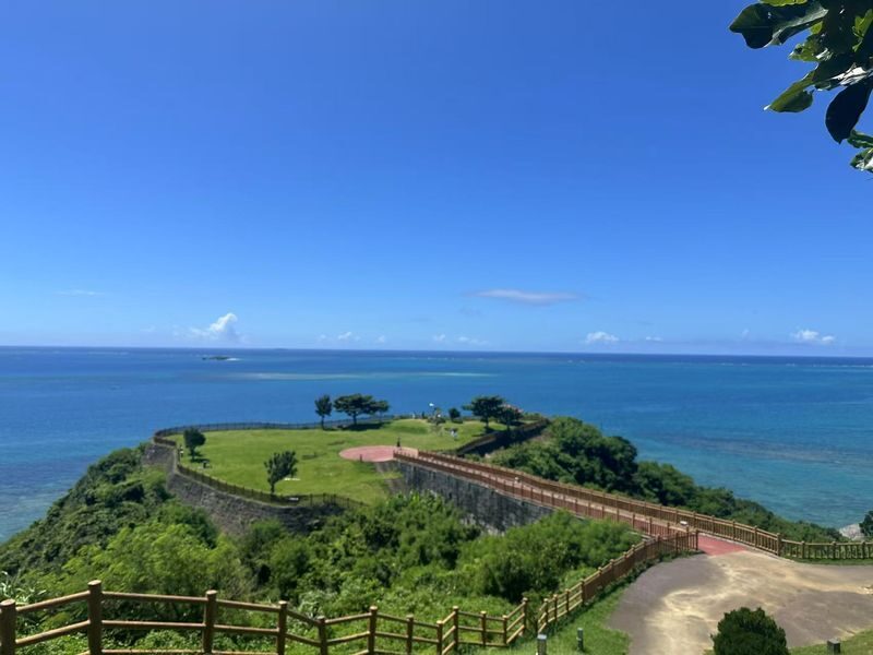 Okinawa One-Day Tour: Northern Secrets / Southern Charm / Central Shopping (Multiple Routes Available) - Who should book this day trip?