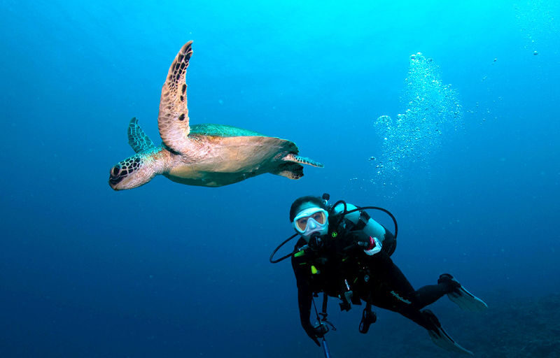 Okinawa: Onna Blue Cave Snorkeling & Diving Experience | Cantonese Instructor - Cantonese Guidance Makes the First Session Easier