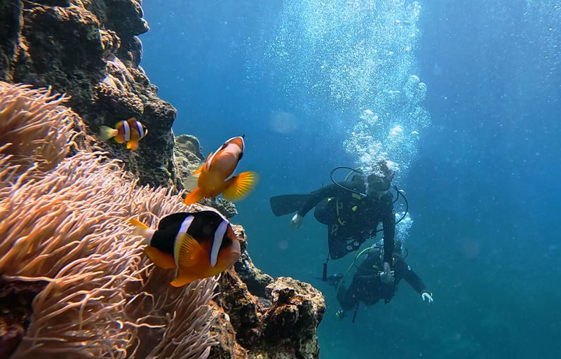 Okinawa: Onna Blue Cave Snorkeling & Diving Experience | Cantonese Instructor - Photos, Camera Rentals, and the Realities of a Popular Site