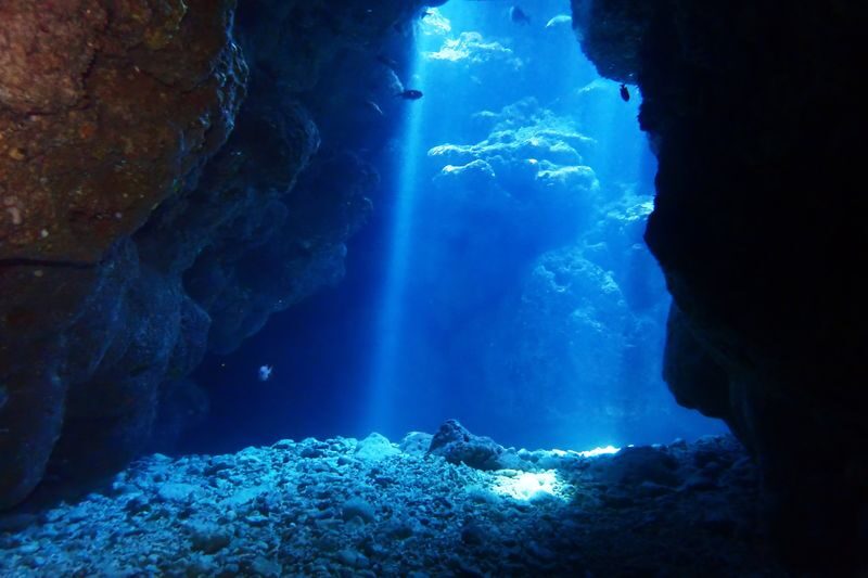 Okinawa Onna Blue Cave Snorkeling or Beginner Scuba Diving - Choose snorkeling for ease, scuba for a first underwater lesson