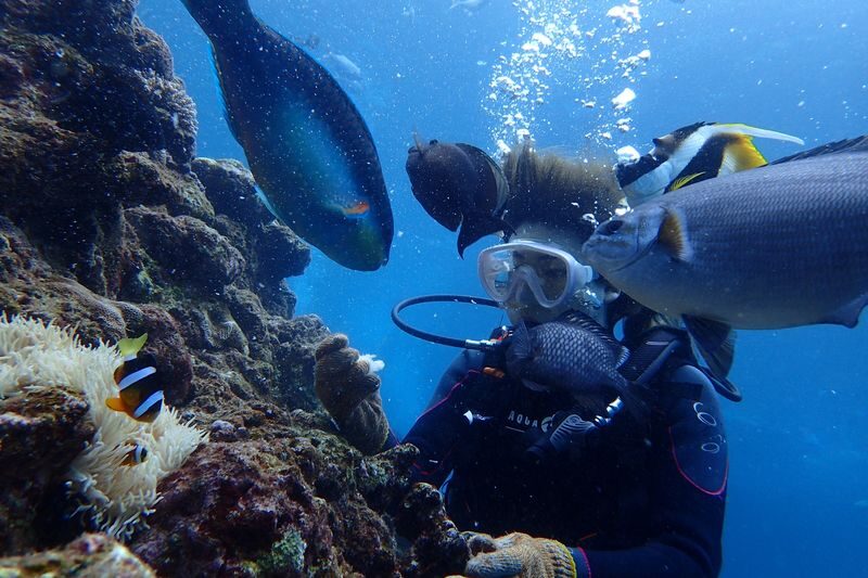Okinawa Onna Blue Cave Snorkeling or Beginner Scuba Diving - Guides and safety gear help nervous beginners
