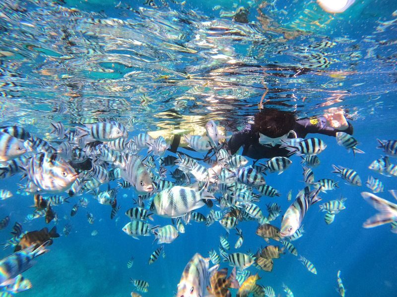 Okinawa: Onna Village Blue Cave Private Snorkel (Free Photo Shoot) - A practical run-through from Island Club to the water